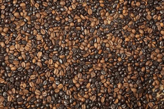 Shades of brown, coffee beans background