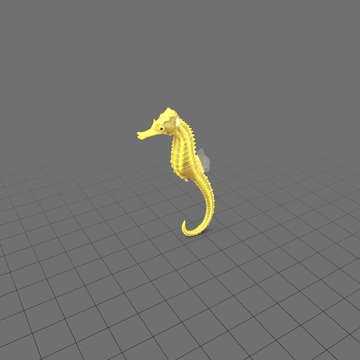 Seahorse