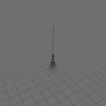 Witch broom
