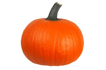 Pumpkin on white