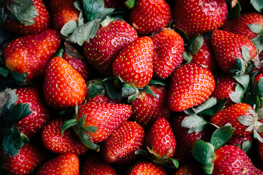 Fresh Strawberries