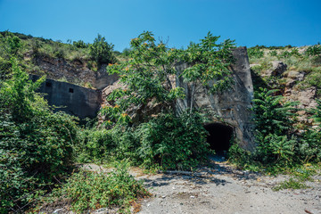 Fototapeta na wymiar Abandoned and overgrown entrance to underground construction
