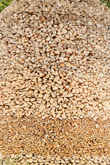 Abstract wood face cut texture pattern