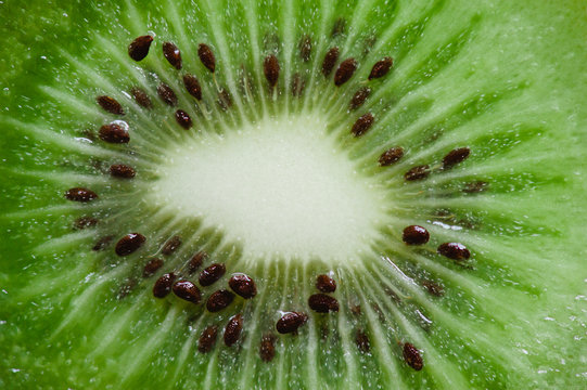 Kiwi Fruit