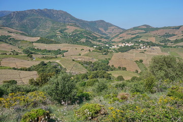 Obraz premium France Mediterranean landscape with vineyards fields and the village of Cosprons at the bottom of the Albera Massif, Languedoc Roussillon, Pyrenees Orientales