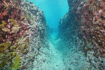 Naklejka na ściany i meble Underwater trench into the outer reef due to natural erosion, Huahine island, south Pacific ocean, French Polynesia, Oceania