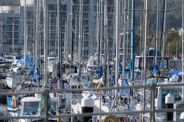 Marina yachts en mass