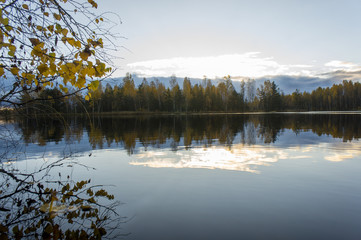 Forest lake autumn