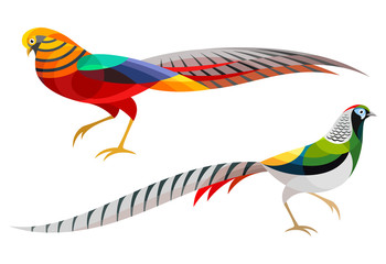 Stylized Pheasants - Golden Pheasant and Lady Amherst's Pheasant
