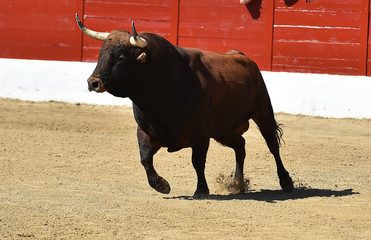 toro