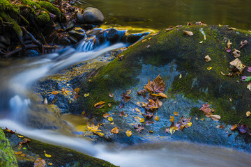 Beautiful colorful flowing water reflecting fall leaves and blue sky nature forest background