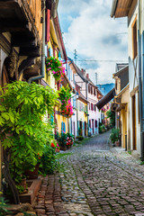 Fototapeta na wymiar Traditional french houses and shops in Eguisheim, Alsace, France