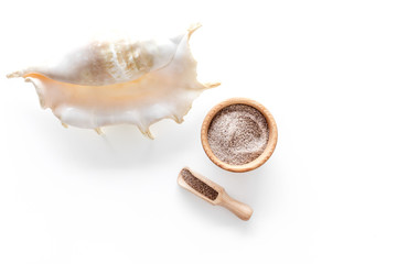 Sea salt from dead sea and shell in cosmetics set for spa on white background top view copyspace