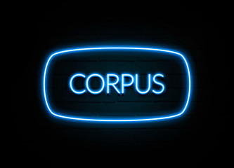 Corpus  - colorful Neon Sign on brickwall