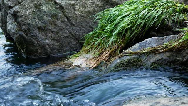 River stream rocks and grass