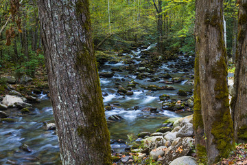 Beautiful colorful flowing water reflecting fall leaves and blue sky nature forest background