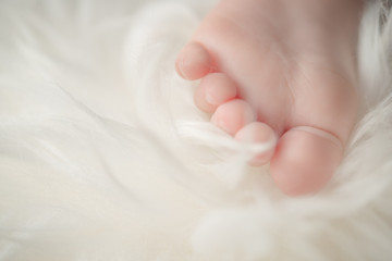 Small bare feet of a little baby girl or boy. Sleeping newborn child. Bare feet of a cute newborn baby in warm white blanket.