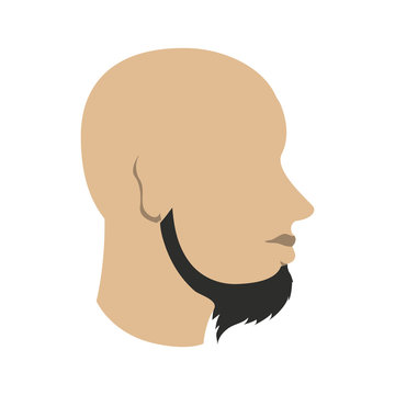 bearded man avatar head sideview icon image vector illustration design 