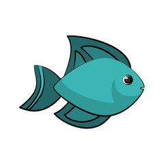 blue fish sideview icon image vector illustration design 