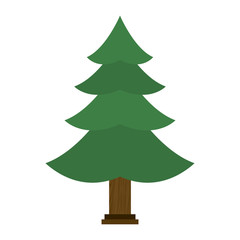 pine tree icon image vector illustration design 