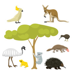 Australia wild animals cartoon popular nature characters flat style mammal collection vector illustration.