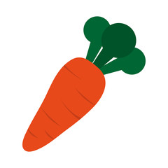 carrot vegetable icon image vector illustration design 