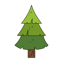pine tree icon image vector illustration design 