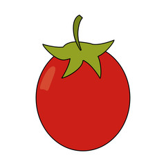 tomato fruit icon image vector illustration design 