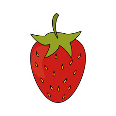 strawberry fruit icon image vector illustration design 