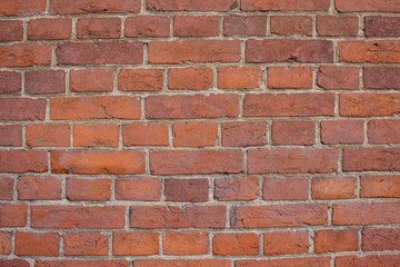 Fragment of the brick wall.