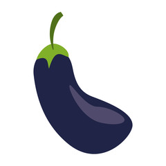 eggplant vegetable icon image vector illustration design 