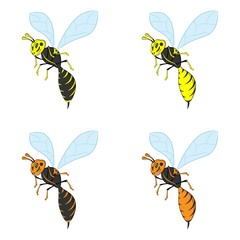 Vector wasp illustration. Set of vector wasps