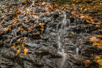 Water flows gently over rocks in Autumn, closeup
