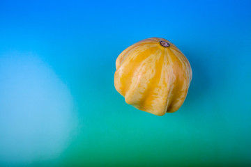 Decorative squash on a green and blue background, autumn time. View from above.