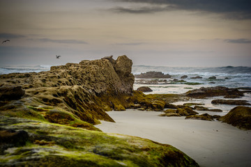 Rocky San Diego, California coastline