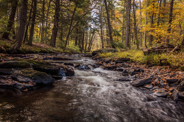 River in the forest at Autumn