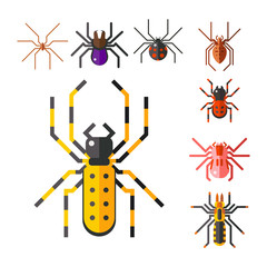 Spider web silhouette arachnid fear graphic flat scary animal design nature insect danger horror halloween vector icon.