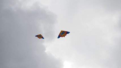 Fototapeta na wymiar Kites in the sky. Colorful kites flying in blue sky. Under the blue sky flying kites