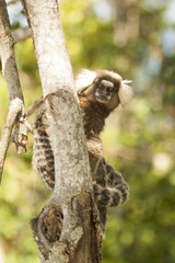 Fotografias Fine Art. A intimidade de um olhar apaixonado pela fotografia.