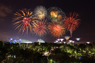 Naklejka premium beautiful firework over Gardens by the bay at night, Singapore