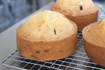Delicioso pan