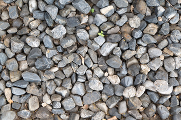 Abstract pebble gravel stone at the beach use for background ready for add text or graphic