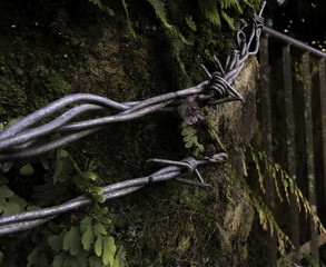 Rancho San Sebastian