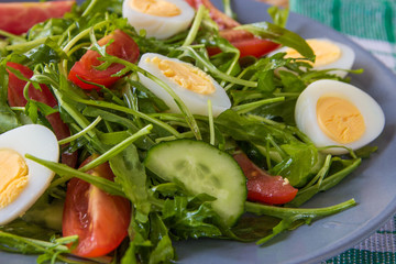 Fresh green salad with arugula, tomatoes, eggs and cucumber