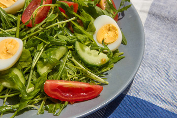 Fresh green salad with arugula, tomatoes, eggs and cucumber