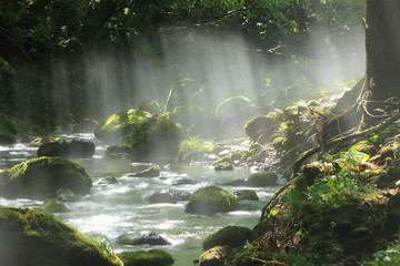 清流に降り注ぐ光　Mototaki, Akita, Japan
