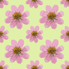 Cosmos. Seamless pattern texture of flowers. Floral background, photo collage