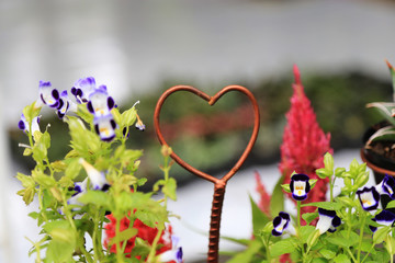 love sign with beautiful flower