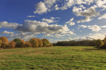 Fototapeta premium Colorful autumn landscape with a field. Evening. The sky with heavy white clouds. Picture, Wallpapers, calendar.