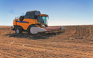 Combine harvester in action on the wheat field. The process of collecting ripe crops